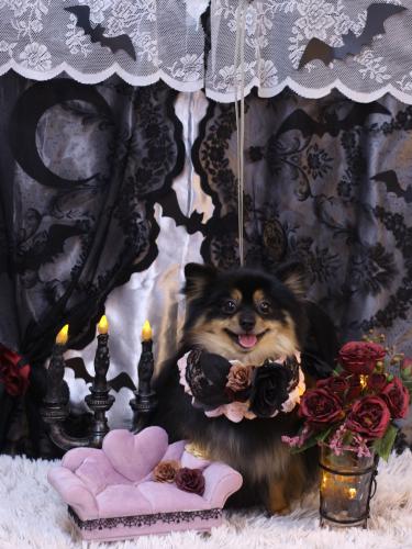 20231007アンバーちゃん